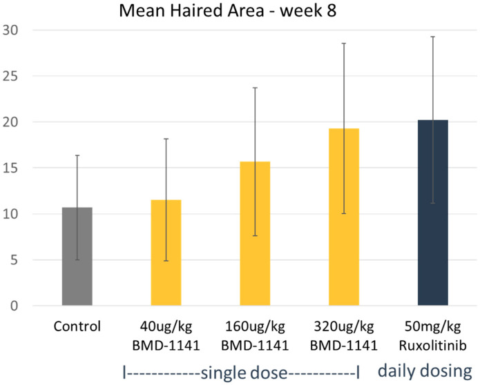 Comparative Efficacy. C3H/HeJ mice were engrafted with full-thickness skin from mice with alopecia areata. After the development of alopecia, the mice were treated with either a single subcutaneous dose of BMD-1141, daily oral ruxolinitib, or a vehicle control, as indicated. The mean hair area was assessed after 8 weeks of treatment.