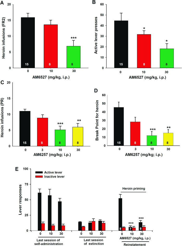 The effects of AM6527 on heroin self-administration and heroin-triggered reinstatement of heroin seeking in rats.AM6527 dose-dependently inhibited heroin self-administration assessed by the total number of infusions A or active lever presses B under FR2 schedule. AM6527 dose-dependently reduced the total number of heroin infusions C and breakpoint level D under PR schedule of reinforcement in rats. E Pretreatment with AM6527 inhibited heroin-induced reinstatement of drug-seeking behavior in rats. *p < 0.05, **p < 0.01; ***p < 0.001, compared to the vehicle control group.