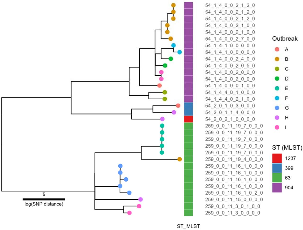 SNP based phylogenetic tree created using the PHEnix pipeline, and ggtree in R. The tree has been labelled with LIN codes as tips, with the colour of the circles representing individual outbreaks, and annotated with MLST ST. The phylogenetic tree showing two clades of EMM77, annotated with colours of their related outbreaks, annotated with their LIN codes. Each outbreak represents a separate investigation undertaken by UKHSA. LIN codes align well with the tree structure, and additionally highlight isolates which appear closely related via both SNP and LIN code across outbreaks.