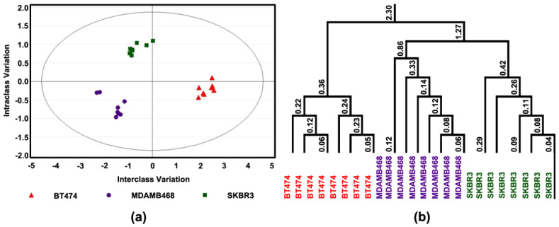 Effect of 4-oxo-DHA on Cell Proliferation and Apoptotic Cell Death. Levels of cell proliferation or apoptosis and associated target proteins in three human breast cancer cell lines (BT474, SKBR3, and MDAMB468); (a) Orthogonal projections to latent structures-discriminant analysis (OPLS-DA) shows a 3-class supervised model and partition the sources of variation; (b) To visualize the misclassification rate, the dendrogram depicts hierarchical clustering patterns among three different cell lines.