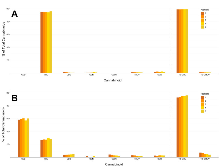 Variations in cannabinoid ratios (% of total cannabinoids) across 5 clonal plant replications. (A) High-THC genotype, (B) blended THC:CBD genotype. Experimental replicates are indicated by shades of colour.