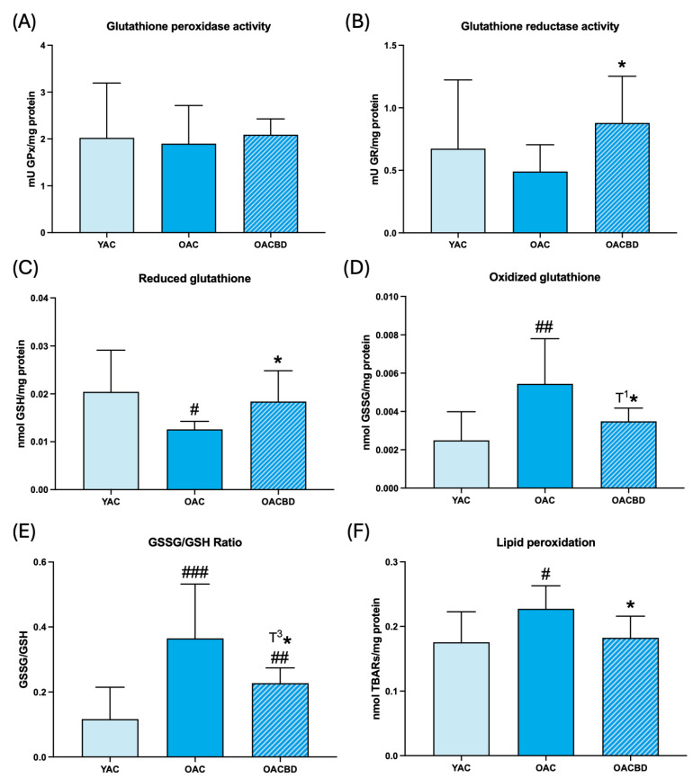 Oxidative stress parameters in the spleen in young adult control (YAC) (2 months), old adult control (OAC) (15 months), and old adult CBD (OACBD) (15 months): (A) Enzymatic activity of glutathione peroxidase (GPx) in mU GPx/mg protein. (B) Enzymatic glutathione reductase (GR) activity in mU GR/mg protein. (C) Reduced glutathione (GSH) concentration in nmol GSH/mg protein. (D) Oxidized glutathione (GSSG) concentration in nmol GSSG/mg protein. (E) GSSG/GSH ratio. (F) Lipid peroxidation in nmol TBARs/mg protein. Each column represents the mean ± standard deviation (SD) of the values corresponding to the number of animals used in each experimental group (YAC, N = 11; OAC, N = 15; OACBD, N = 14). * p < 0.05; T1* p = 0.057; T3* p = 0.059 with respect to the OAD group. # p < 0.05; ## p < 0.01; ### p < 0.001 with respect to the YAC group.