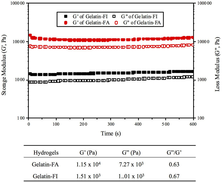 Storage (G′) and loss (G″) moduli of gelatin-FA and gelatin-FI hydrogels (10%) at 37°C cross-linked by visible light in the presence of Rose Bengal (0.5%).