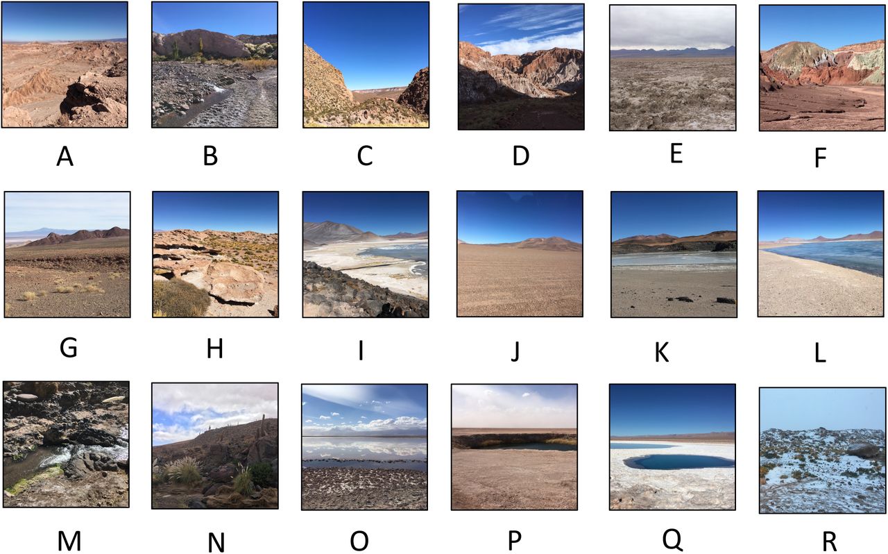Images of sampling locationsImages taken at the time of sampling in each location. Letter corresponds to the letter identifier in Figure 1.