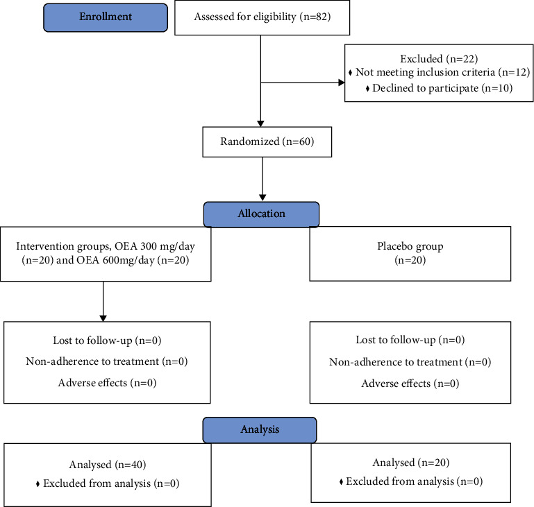 The flow diagram of the study.