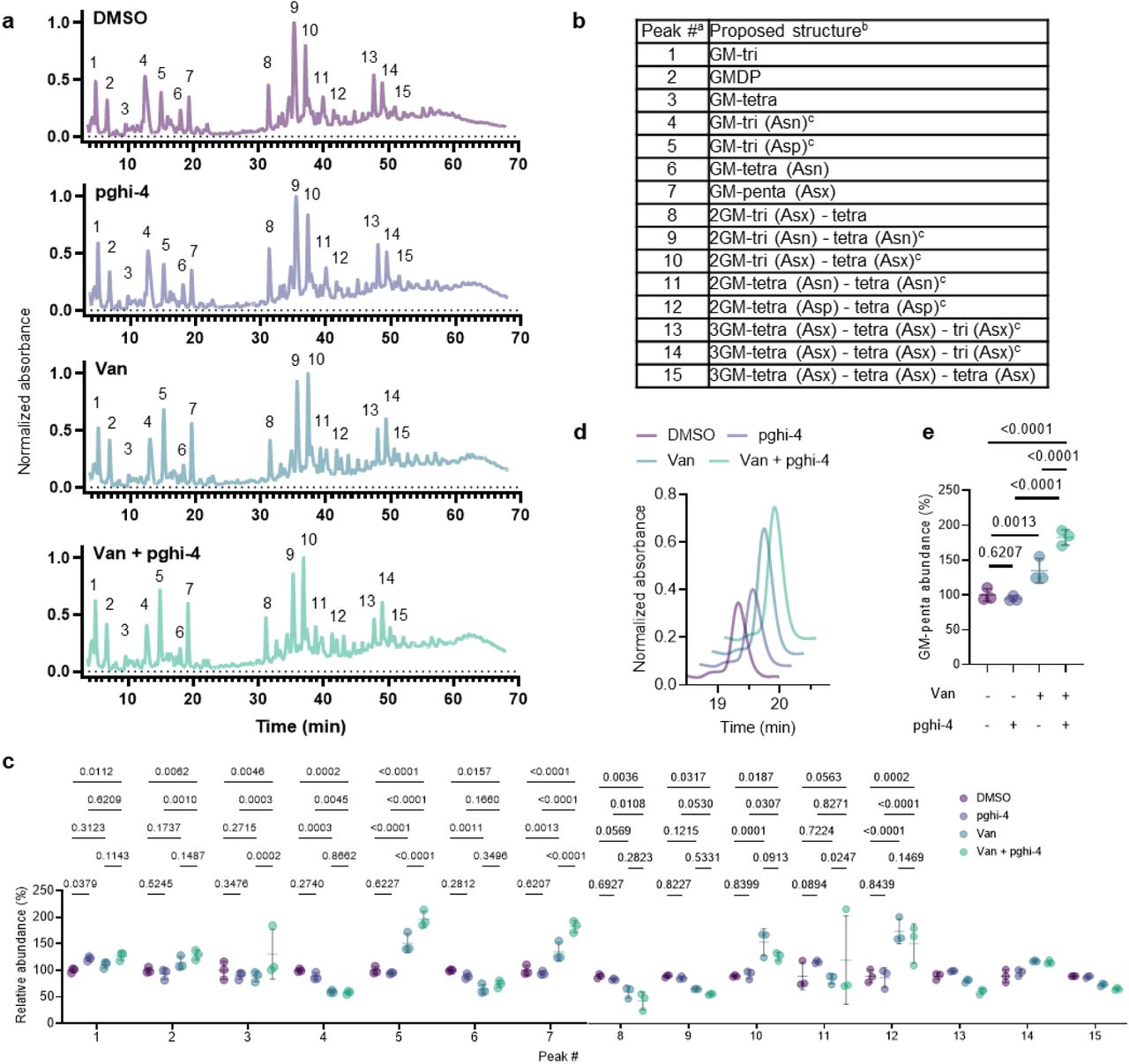 Inactivation of peptidoglycan remodeling in VREfm.a, Representative LC-MS chromatograms of mutanolysin-digested peptidoglycan isolated from sacculi of VREfm after treatment with pghi-4 (50 µM), vancomycin (5 µg/mL) alone, or in combination. b, Composition of peptidoglycan isolated from VREfm sacculi. a Peak numbers refer to (a). b GM, disaccharide (GlcNAc-MurNAc); 2 GM, disaccharide-disaccharide (GlcNAc-MurNAc-GlcNAc-MurNAc); 3 GM, disaccharide-disaccharide-disaccharide (GlcNAc-MurNAc-GlcNAc-MurNAc-GlcNAc-MurNAc); GM-Tri, disaccharide tripeptide (L-Ala-D-iGln-L-Lys); GM-Tetra, disaccharide tetrapeptide (L-Ala-D-iGln-L-Lys-D-Ala); GM-Penta, disaccharide pentapeptide (L-Ala-D-iGln-L-Lys-D-Ala -D-Ala). c The assignment of the amide and the hydroxyl functions to either peptide stem is arbitrary. Masses and retention time of peptidoglycan fragments are in Extended Data Table 11. c, Normalized abundance (relative to DMSO) of peptidoglycan fragments isolated from mutanolysin-digested sacculi of VREfm after treatment with pghi-4 (50 µM), vancomycin (5 µg/mL) alone, or in combination and analyzed by LC-MS. For c peak numbers indicate corresponding peptidoglycan fragment from LC-MS analysis listed in (a), data is heat-map of mean values, n=3 biological replicates. d, Abundance of GM-penta muropeptide (peak 7 in LC-MS chromatogram (a) shown as representative extracted LC-MS chromatogram of mutanolysin-digested peptidoglycan isolated from sacculi of VREfm after treatment with pghi-4 (50 µM), vancomycin (5 µg/mL) alone, or in combination. e, Normalized abundance of GM-penta muropeptide (relative to DMSO) within peptidoglycan composition of VREfm ± pghi-4 (50 µM) ± vancomycin (5 µg/mL) from LC-MS chromatograms (a) and (c). For c, e, data are mean ± S.D., n=3 biological replicates, analyzed with one-way ANOVA and uncorrected Fisher’s LSD post-test, p values of significant differences are indicated.