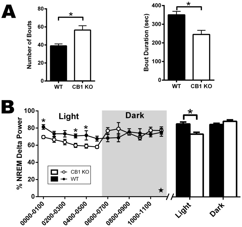 During recovery from total sleep deprivation (TSD), CB1 KO mice exhibit altered sleep architecture and reduced NREM delta power compared to wt mice.A, Number and duration of NREM bouts in the last 6± SEM from each genotype (N = 6 for each group). B, NREM delta power during the 12 hr immediately following TSD. Grey background of line graph represents dark photoperiod and white background denotes the light photoperiod. Data in the line graph represent 1 hr bins, and data in the bar graph represent mean ± SEM for 6 hr bins of the specified photoperiod. For all graphs, white bars/circles represent data from CB1 KO mice and black bars/circles represent data from wt mice. Significant 3-way interactions between photoperiod, time of day, and genotype are denoted with stars (★). Significant pair-wise comparisons are denoted with asterisks (*).
