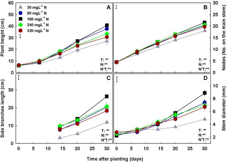 Effect of N concentration on the development of medical cannabis plants at the vegetative growth phase. Plant height (A), number of nodes on the main stem (B), length of side branches (C), and stem diameter (D). Presented data are averages ± SE (n = 5). Results of two-way ANOVA indicated as **P < 0.05, F-test; NS, not significant P > 0.05, F-test. The bars represent the LSD between means at P ≤ 0.05. In the ANOVA results, N’T represents the interaction between N and Time.