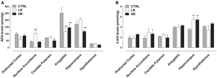 Endocannabinoid levels: data are presented as mean ± SEM (n = 6 rats per group). (A) AEA: HR group showed a decrease in Caudate Putamen, Amygdala and Hippocampus compared to CTRL group (one-way ANOVA: *P < 0.05 and **P < 0.01, Newman–Keuls test vs. CTRL); LR group showed a decrease in Prefrontal Cortex and Amygdala as well as an increase in the Nucleus accumbens compared to CTRL group (one-way ANOVA: *P < 0.05 and **P < 0.01, Newman–Keuls multiple comparison test vs. CTRL group). (B) 2-AG: both LR and HR groups showed an increase compared to CTRL group in the hippocampus (one-way ANOVA: **P < 0.01, Newman–Keuls test vs. CTRL group).
