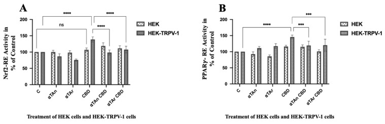 Quantification of Nrf2 and PPARγ transcription factor activities via TRPV-1 in HEK293 cells. HEK293 and HEK-TRPV-1 were transfected with reporter plasmids one day before treatment. HEK and HEK-TRPV-1 cells were treated with CBD (6 μM), αTAn, and αTAr (50 μM) as indicated for 24 h. Dual luciferase assays were measured using a microtiter plate reader (Clariostar, BMG Labtech). (A) Significant induction of the Nrf2-RE reporter was observed in HEK-TRPV-1 with CBD, which was prevented by co-treatment with αTAn and αTAr. (B) Significant induction of PPARγ-RE was observed after treatment with CBD, which was prevented by αTAn and αTAr. (mean ± SEM, n = 6 for CBD, αTAr, αTAn *** p < 0.0005, **** p < 0.0001 relative to untreated control set to 100%; ns: non-significant).