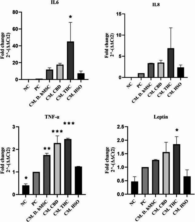Gene expression mRNA levels of inflammatory markers (IL-6, IL-8, TNF-a, and leptin) of THP-1 cells after 24h incubation with 100ng/ml of Lipopolysaccharide in the condition media collected from adipose differentiated hMSC and treated adipose differentiated hMSC (CBD, THC, HSO) after 14 days. The biological experiments data presented as mean and standard deviation (SD) of quadruplicate technical replicates (n=4) were used to represent all data (mean ± SD), are shown; ANOVA as *p ≤0.05, **P≤0.01, *** P≤0.001