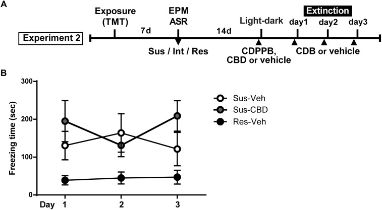 Cannabidiol does not reduce increased context dependent freezing in Susceptible rats. (A) Timeline for Experiment 2. (B) Mean ± SEM of freezing in vehicle (Sus-veh; n = 8) and CBD (Sus-CBD; n = 8) treated Sus rats and vehicle treated Res rats (Res-veh; n = 7) during 10 min extinction sessions. A main effect of Group was detected with Sus-veh and Sus-CBD displaying increased freezing relative to Res-veh rats.