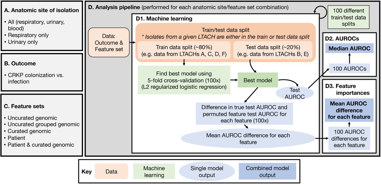 Methods overview.(A) Isolate subsets, based on anatomic site, used for different machine learning analyses. (B) Outcome used for all machine learning analyses. (C) Feature sets used for machine learning analyses (see main methods for more details). (D) Machine learning analysis pipeline: (D1) Machine learning pipeline, (D2) Median AUROC calculated from machine learning pipeline, (D3) Mean difference in test vs. permuted AUROC for each feature (see methods for more details). AUROC=area under the receiver operating characteristic curve.