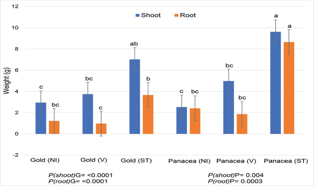 Hemp plant dry weights (g) for two cannabigerol (CBG) hemp cultivars and a nematicide in naturally RKN-infested soil. P values (P ≤ 0.05) represent significant differences between cultivars by treatment (PG = Gold, PP= Panacea; NA = naturally infested soil, V = Velum, ST = steamed soil.). Velum was applied at 0.48 kg a.i./Ha. Factor levels not connected by the same letter are significantly different according to Tukey’s HSD with P ≤ 0.05 (Trial 4).
