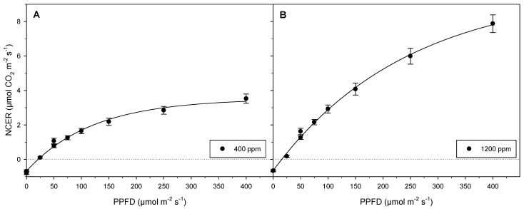 Light–photosynthetic response curves based on mean NCERs from experiment 1. Data represent average NCERs of 8 plantlets (n = 8). Error bars represent standard errors of mean. Depicted are (A) NCER values at 400 ppm [CO2] (B) NCER values at 1200 ppm normalized by leaf areas. Two mean values at 0 µmol m−2 s−1 PPFD are indicative of respiration prior to and following light exposure, respectively. Two means at 50 µmol m−2 s−1 PPFD show NCERs during initial exposure from darkness to 50 µmol m−2 s−1 PPFD and exposure to the same light intensity when sequentially reduced from 400 µmol m−2 s−1 PPFD back to darkness. Respiration rates were similar before and after the light exposures, whereas NCERs at 50 µmol m−2 s−1 PPFD were reduced by approximately 10–20% at the end of experimentation.