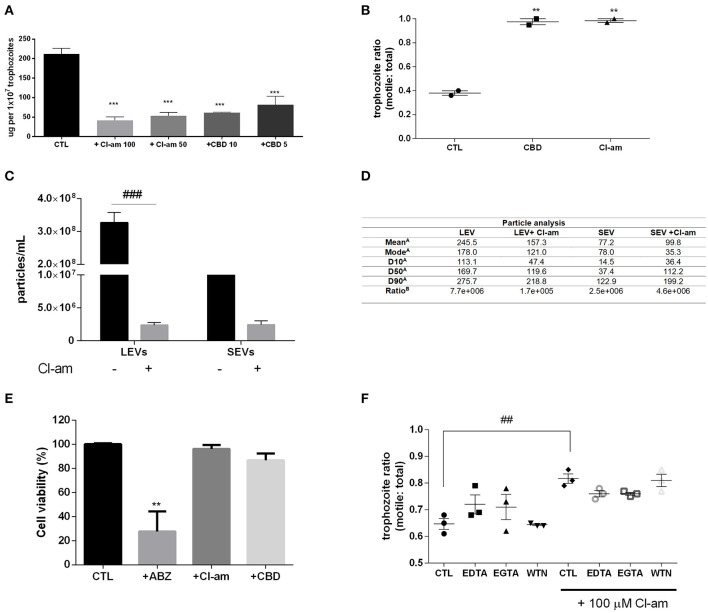 EV-inhibitors Cl-amidine and CBD decrease the production of LEVs secreted from G. intestinalis. (A) EV protein quantification post-treatment with Cl-amidine (Cl-am; 100 and 50 μM) or CBD (10 and 5 μM). (B) Host-pathogen assay concomitant to treatment with PAD-inhibitor (100 μM) or CBD (10 μM). (C) Giardia EV concentration estimation by nanoparticle tracking analysis (NTA) post-treatment with 100 μM Cl-am. (D) Particle analysis of the parasite distinct EV populations [(A), EV size estimation of the distinct EV populations by NTA (nm); (B), yield particle/μg of protein obtained in 1 × 106 cells]. (E) Cytotoxic effects of the EV-inhibitors on Caco-2 cell monolayers. Cells were incubated for 48 h with ABZ, Cl-am, and CBD at 10, 100, and 10 μM, respectively, or with culture medium. Cell viability was determined by the crystal violet method. (F) Effect of Cl-amidine in host-pathogen assay after treatment with EDTA (5 mM), EGTA (5 mM), and wortmannin (WTN; 100 nM). Data are representative of at least three independent experiments and represented as means ± SEM. **P = 0.01, ***P = 0.001 compared to control group (CTL). ##P = 0.01, ###P = 0.001; vs. the corresponding group, indicated by line.