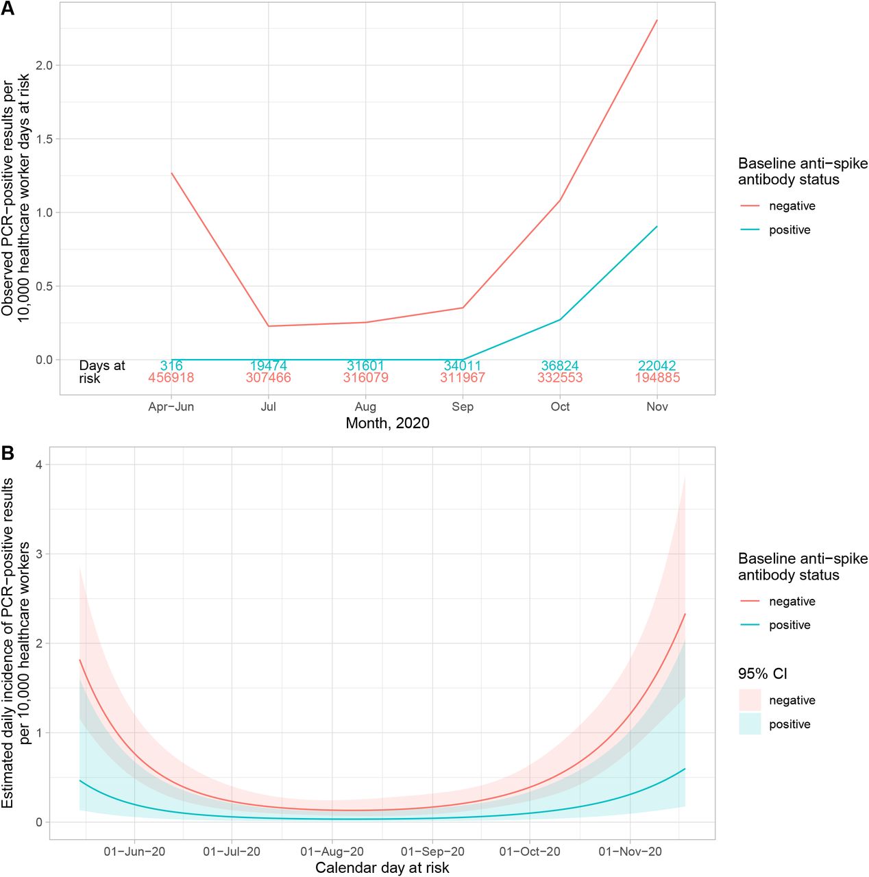 Observed and estimated incidence of SARS-CoV-2 positive PCR results by baseline anti-spike IgG antibody status.Panel A shows the observed cases per 10,000 HCW days at risk. The cases in seronegative staff are shown in red and seropositive staff in blue. The total number of HCW days at risk by month are shown in red and blue text above the x axis. Panel B shows the estimated daily incidence of SARS-CoV-2 positive PCR results per 10,000 HCW days at risk, by baseline antibody status (95% confidence intervals are indicated by the coloured ribbons). The Poisson regression model is adjusted for age (using a 5 knot spline, similar to Supplementary Figure S2), gender and calendar time fitted as continuous, using a 5 knot natural cubic spline with default knot positions.