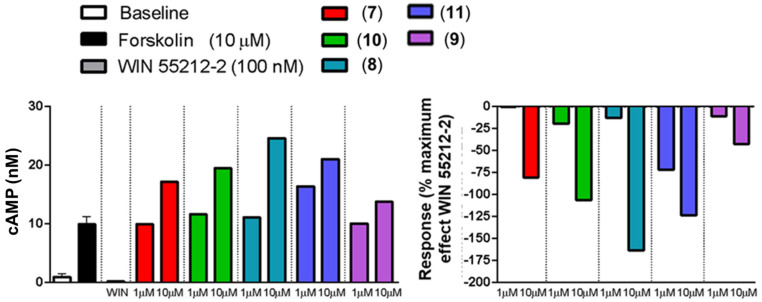 Effect of NSAID-pyrazolamides 7–11 on cyclic AMP intracellular concentration of CB2-transfected CHO cells after stimulation with 10 μM forskolin. Data represent results from single replicates.