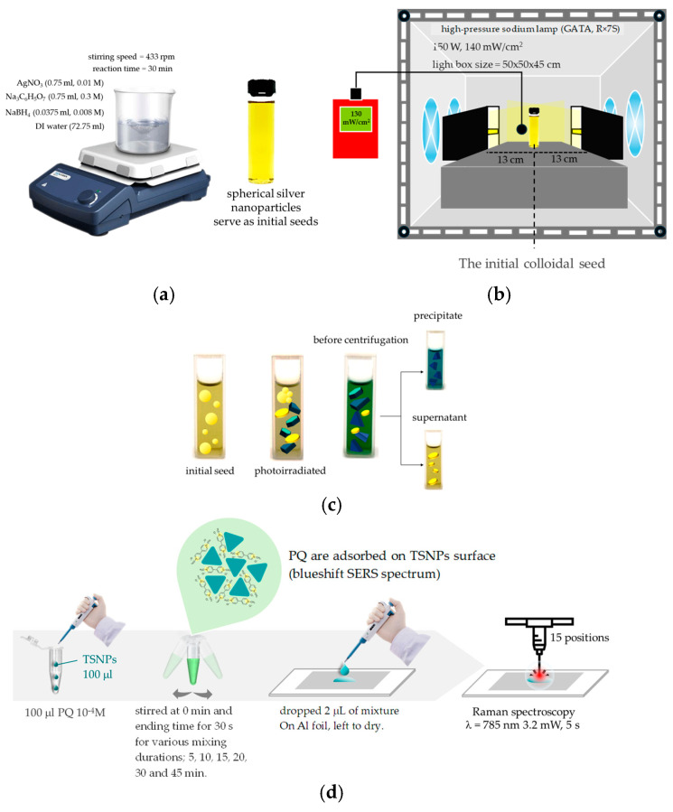 (a) Synthesis procedure of seed colloids. (b) Synthesis of TSNPs from seed colloid using photomediated seed growth method. (c) Collection of TSNPs from silver nanoparticle colloid using centrifugation. (d) Schematic of SERS measurement of PQ using TSNP colloid.