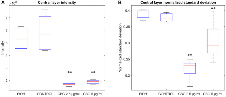 Basic features of the biofilm. (A) Central layer sum pixel live (SYTO 9) intensities. (B) Normalized standard deviation of pixel intensities at the central layer. Two-tailed t-test was performed. **p < 0.01.