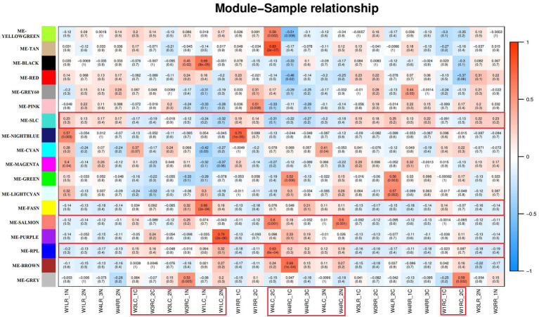 Module – Sample relationships. The abscissa is the sample and the ordinate is the module. The numbers represent correlation between the module and the sample. Closer the value is to 1, stronger the positive correlation between the module and the sample; closer to −1, stronger the negative correlation. The number in brackets represents value of p, smaller the value, and higher the significance. The red specimen is choroid of the tree shrews.