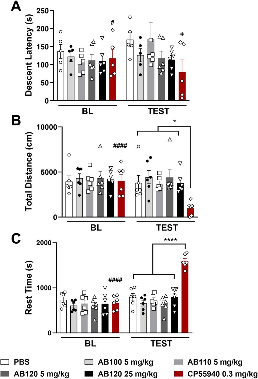 Systemic treatment with CB2-specific antibody agonists does not produce motor ataxia or locomotor deficits in naïve mice. AB100 (5 mg/kg), AB110 (5 mg/kg), AB120 (5 or 25 mg/kg) i.p. did not reduce (A) descent latency in the rota-rod test. CP55,940 (0.3 mg/kg, i.p.) reduced descent latency relative to either vehicle injection (p=0.0251, unpaired t-test, one-tailed) or baseline pre-injection performance (p=0.0441, paired t-test, one-tailed). CP55-940 (0.3 mg/kg, i.p.), but not CB2 antibody agonists (B) decreased total distance traveled and (C) increased rest time performed in the activity meter test. Locomotor behaviors were assessed 2 hours following all treatments over a 30-min observation interval. Data show mean (± SEM) (n=5-6). Two-way ANOVA followed by Bonferroni’s post hoc test. Brackets: *P <0.05, ****P <0.0001 CP55-940 0.3 mg/kg vs all other groups. Symbols on top of bars: #P<0.05, ####P<0.0001 BL vs. test; +P<0.05 vs. control PBS.