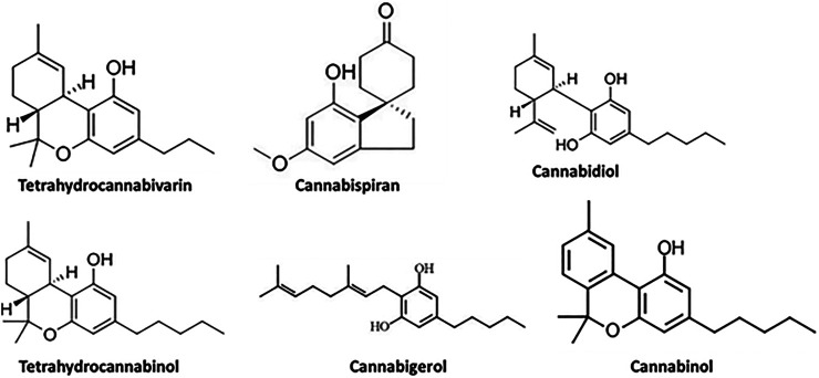 GC-MS identified compounds from C. sativa infusion.