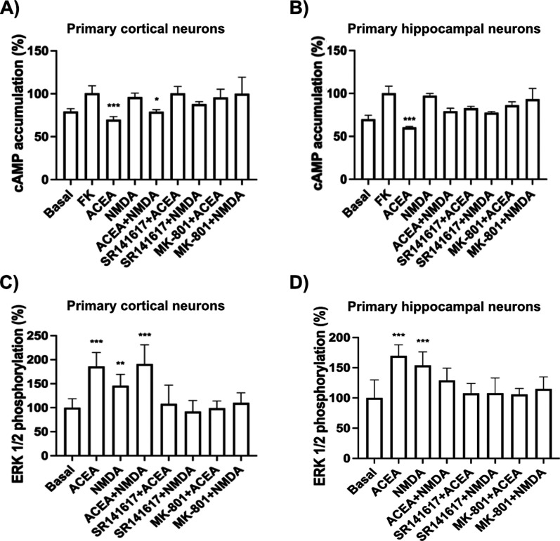 Assessment of functional crosstalk and neuroprotection against Aß1–42 in primary cortical and hippocampal neurons from APPSw/Ind mice. (A–D) Functional analysis in primary cortical and hippocampal neurons from APPSw/Ind mice pretreated with selective antagonists (1 μM SR141716A (rimonabant) for CB1R or 1 μM MK-801 for NMDAR), followed by agonist stimulation (100 nM ACEA and/or 15 μM NMDA). (A, B) cAMP levels were determined in cells previously treated with 500 nM forskolin (FK). (C, D) Erk1/2 phosphorylation. Results are shown as mean ± SEM from eight independent experiments. One-way ANOVA followed by Bonferroni’s post hoc test was used for statistical analysis (*p < 0.05, **p < 0.01, ***p < 0.001 vs forskolin-treated condition in cAMP assays or vs basal in ERK1/2 phosphorylation assays).