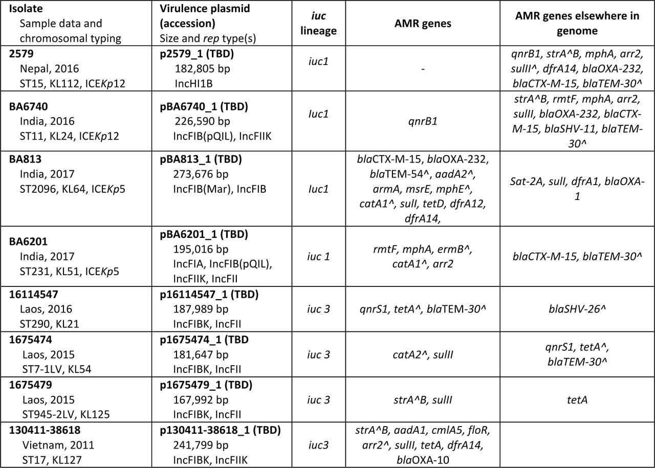 Novel virulence plasmids sequenced in this study and their host isolate properties.rep types as per the PlasmidFinder v2.0 database are shown. All plasmids carried the iuc aerobactin synthesis operon. No plasmids carried the iro or rmpA/rmpA2 virulence loci. Seven virulence plasmids also carried AMR (antimicrobial resistance) genes. Seven host isolates harboured additional AMR genes elsewhere in the genome. ST; chromosomal multi- locus sequence type. KL; K-locus. ICEKp; integrative conjugative element carrying the yersiniabactin siderophore locus (ybt). ^; inexact match.