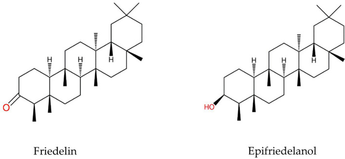 Structures of friedelin and epifriedelanol.