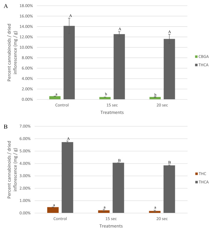 Percentage of different cannabinoids (CBGA, THC and THCA) in noncommercial inflorescences calculated as relative cannabinoid dry weight per inflorescences for the first (A), and second experiments (B). In each experiment, inflorescences were exposed to a steam treatment of 15 s at 65 °C and 20 s at 70 °C, and compared to an untreated control using two separate strains cultivated in the ARO licensed facility. Cannabinoid values at low concentrations (> 0.5%) in the untreated control are not shown. Values compared for each cannabinoid between treatments, with a different letter are significant, according to Tukey HSD (α = 0.05).