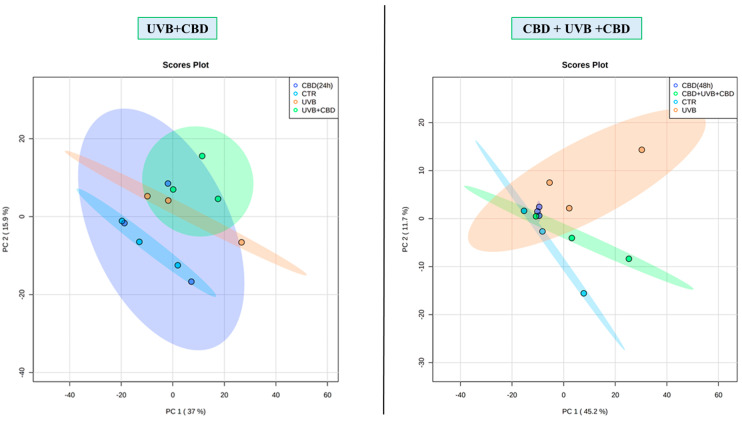 Principal component analysis (PCA) of membrane fractions proteins of keratinocytes from the following groups: CTR—control cells cultured with standard medium; CBD(48 h)—cells cultured in medium containing CBD (4 µM) for 48 h; CBD(24 h)—cells cultured in medium containing CBD (4 µM) for 24 h; UVB—cells irradiated with UVB (312 nm) at 60 mJ/cm2; CBD + UVB + CBD—cells cultured in medium containing CBD (4 µM) for 24 h before and after UVB irradiation; UVB + CBD—cells cultured in medium containing CBD (4 µM) for 24 h after UVB irradiation.