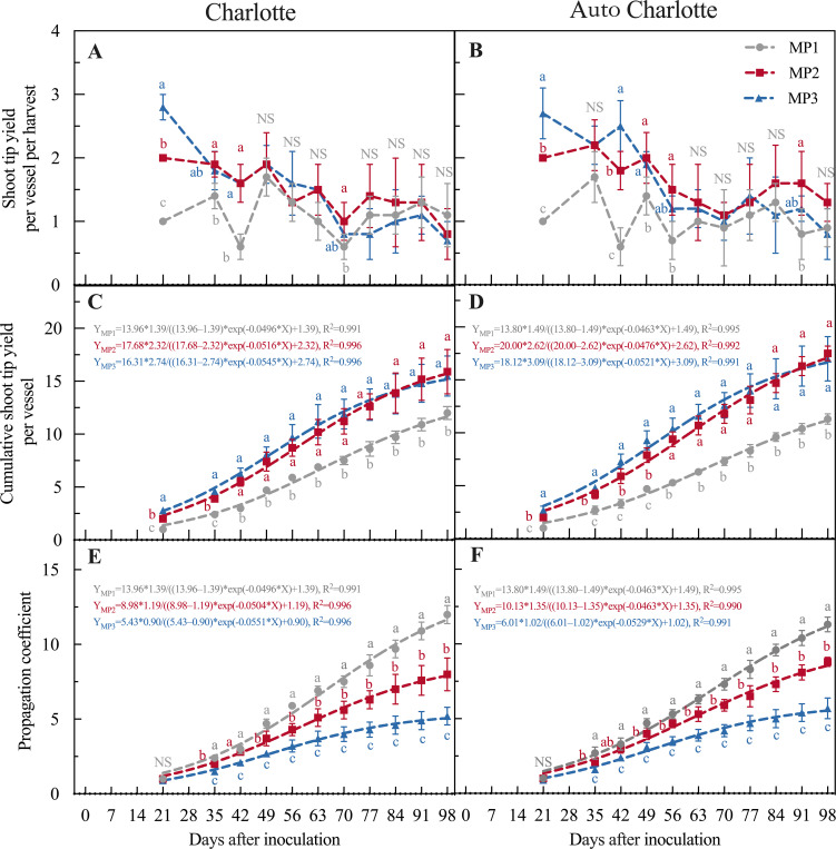 Six-panel scientific figure comparing shoot tip yield, cumulative shoot tip yield, and propagation coefficient over time for ‘Charlotte’ and ‘Auto Charlotte’ cultivars. Panels A, C, and E show results for ‘Charlotte’ and Panels B, D, and F for ‘Auto Charlotte’, with line graphs representing MP1, MP2, and MP3 treatments. X-axes display days after inoculation; Y-axes detail respective metrics. Statistical differences are marked with letters above datapoints, and error bars indicate variability. Equations and R² values for each model are provided in Panels C, D, E, and F. A legend differentiates MP1, MP2, and MP3.