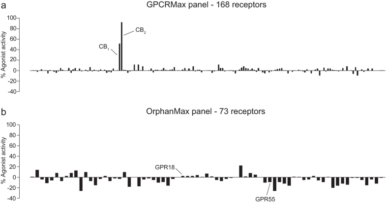 Out of 241 GPCRs, JWH133 only elicits β-arrestin recruitment at CB1 and CB2.JWH133 (10 μM) was tested for its ability to induce β-arrestin recruitment at 241 GPCRs, split over two panels, using the Discoverx PathHunter® eXpress β-Arrestin GPCR Assay system. (A) The GPCRMax panel was comprised of GPCRs with known and validated ligands. For this panel % Agonist activity is calculated as 100% x (mean of test sample - mean of vehicle control) / (mean MAX control ligand - Mean of vehicle control). JWH133 only caused β-arrestin recruitment at CB1 and CB2. (B) The OrphanMax panel was comprised of GPCRs without validated ligands. For this panel % Agonist activity is calculated as 100% x (mean of test sample - mean of vehicle control) / (mean of vehicle control). JWH133 did not elicit β-arrestin recruitment at either GPR18 or GPR55. Data are mean of technical duplicates.