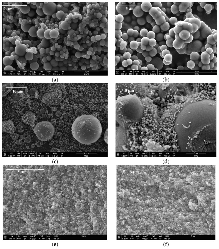 SEM images of (a) DECs, (b) DEBa, (c) IECs, (d) IEBa, (e) PLCs, and (f) PLBa carbon-based supports for the CBD immobilization.