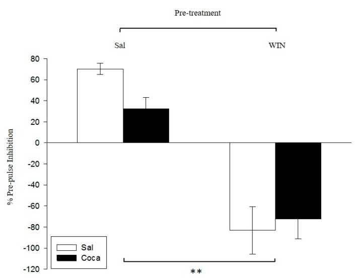 Effect of WIN 55212-2 administration during adolescence on pre-pulse inhibition after cocaine withdrawal in adulthood. Over PND 34–47 (adolescence), mice (n = 10 per group) were pre-treated with physiological saline (Sal) or WIN 55212-2 (WIN 0.5 mg/kg given once daily). In adulthood (21 days later) they were treated with Sal or cocaine (Coca) in three daily injections separated by a 60-min interval according to the ensuing regime: 5 mg/kg on PND 68 and 69, 15 mg/kg from PND 70 to 72, a two-day abstinence period, and 25 mg/kg from PND 75 to 79. Animals were tested on PND 81. Bars depict mean ± SEM of percentage of the pre-pulse inhibition response for trials with a pre-pulse of 75 dB with inter-stimulus intervals of 100 ms, and a pulse of 120 dB for all groups (** p < 0.01 significant differences between Sal and WIN pre-treated mice).