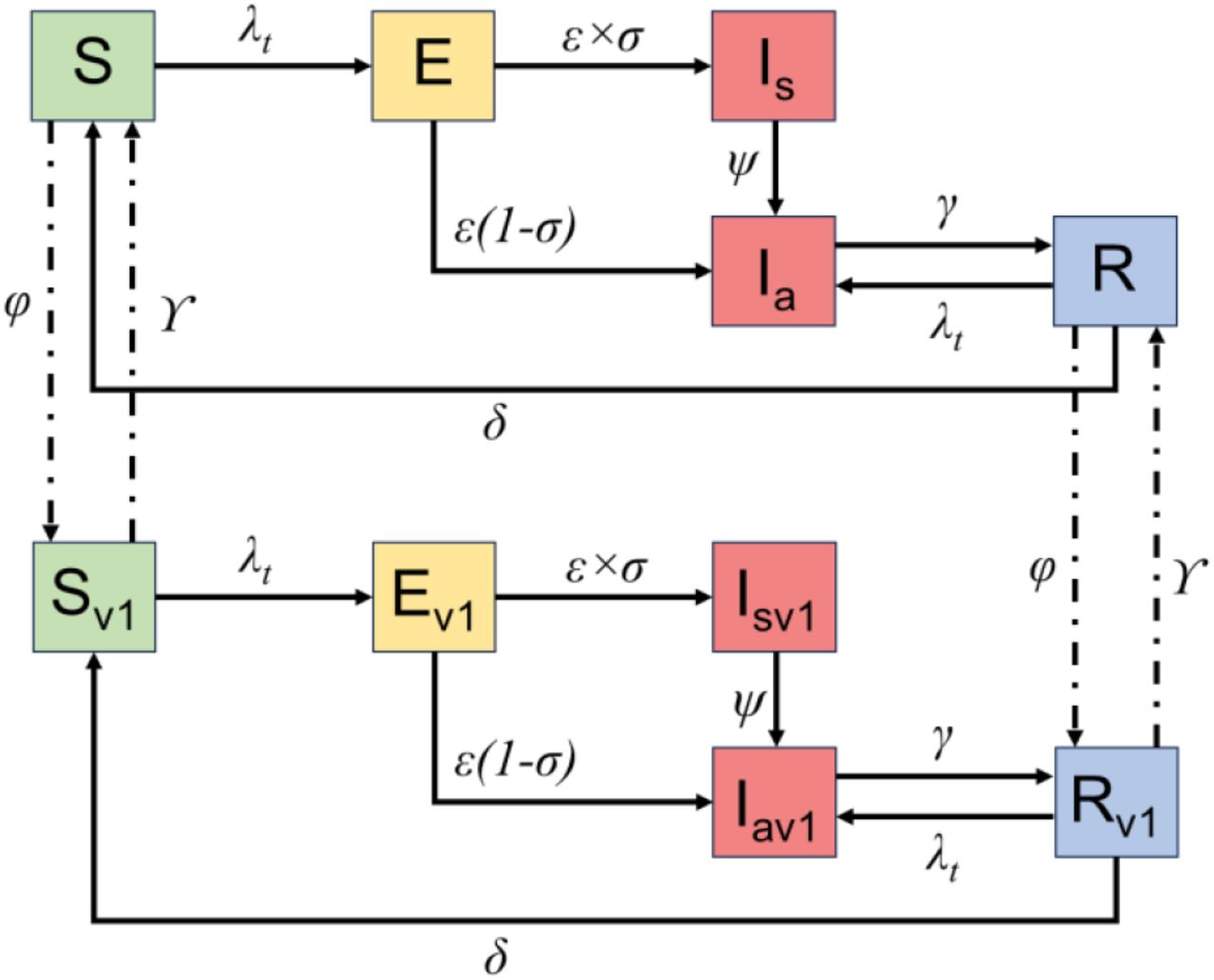 Compartmental model diagram showing epidemic dynamics with vaccination. Compartments represent: S, susceptible (green); E, exposed (yellow); Ia, infectious asymptomatic (red); Is, infectious symptomatic (red); R, recovered (blue). Transition parameters represent: φ, vaccination rate; ϒ, waning rate of vaccine induced immunity; λt, force of infection; ε, incubation period; σ, proportion of infections symptomatic; ψ, duration of symptoms; γ, duration of asymptomatic shedding. Solid arrows denote disease progression (infection, symptom development, recovery) and immunity waning. Vaccinated individuals (v1) follow parallel pathways through corresponding compartments. Dashed lines represent vaccination transitions from unvaccinated to vaccinated states. Births, deaths, age stratification, and aging are modeled but not depicted. Healthcare outcomes of the number of GP attendances, hospitalisations due to norovirus, and hospitalisations due to norovirus linked hospitalisations are calculated using age-group-specific linear factors applied to the number of symptomatic cases (Is) (Supplement S1.4).
