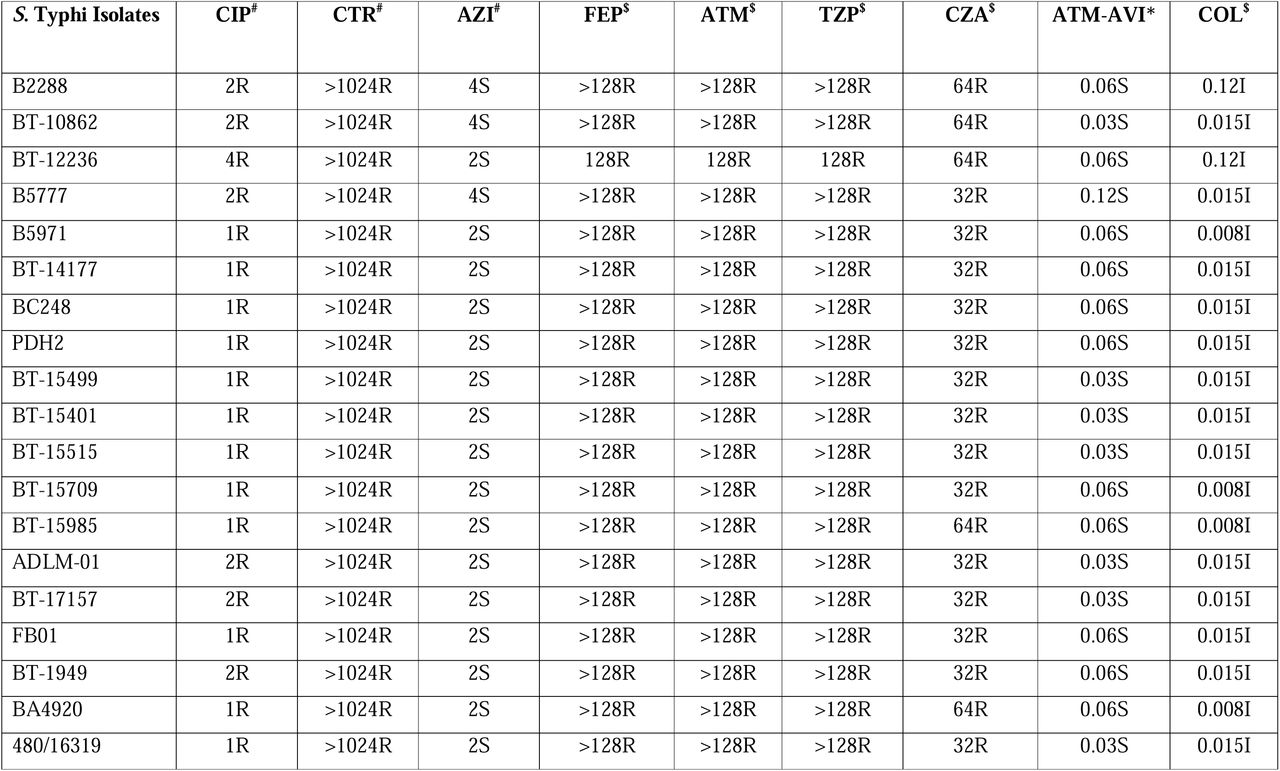 Antimicrobial susceptibility profile and minimum inhibitory concentration (MIC) in µg/mL of different antibiotics against S. Typhi isolates.