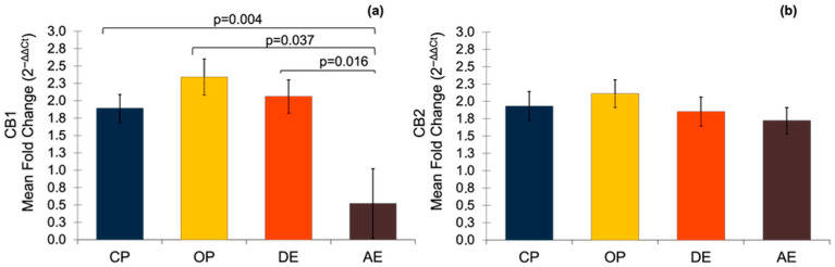 The mRNA expression of CBs in pyometric and healthy dog uterus. (a) Expression of CB1 gene. A parametric one-way ANOVA was applied followed by the Tukey HSD post hoc test. (b) Expression of CB2 gene. A parametric one-way ANOVA was applied. Results are shown as mean ± SEM. p < 0.05 were considered significant. CP: closed-cervix pyometra, OP: open-cervix pyometra, DE: diestrus, AE: anestrus.