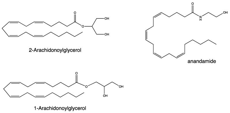 Structure of 2-Arachidonoylglycerol (2-AG), 1-Arachidonoylglycerol (1-AG), N-arachidonoylethanolamine (anandamide).