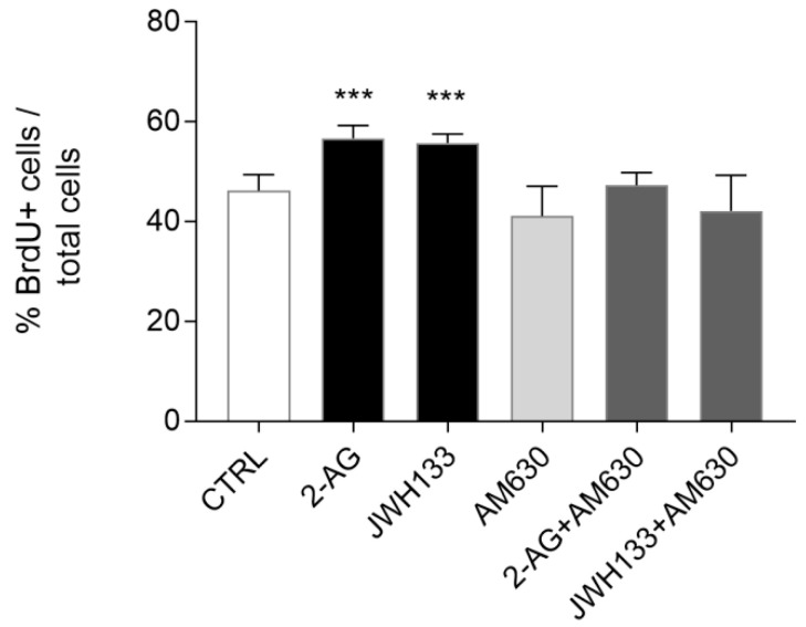 Evaluation of the effects of 2-AG and JWH133 alone or in the presence of the specific CB2 antagonist AM630 on ST14A cell proliferation rate. Results are shown as ratio (%) of the number of BrdU+ cells over the number of total cells, stained with DAPI fluorophore. After 24 h treatment with 2-AG (5 μM) and JWH133 (300 nM) an increase in BrdU incorporation was observed, with respect to untreated cells (CTRL); the effect was specifically reverted in both the cases by 300 nM AM630 coadministration. Data are expressed as mean ± standard deviation (SD); n = 3 replicates (5 random fields counted in each well), 3 independent experiments. *** = p ≤ 0.001 vs. control.