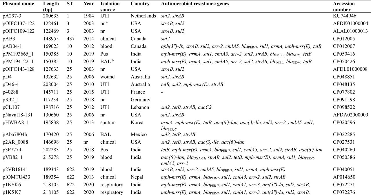 Distribution of antimicrobial resistance genes in large conjugative plasmid related to pA297-3