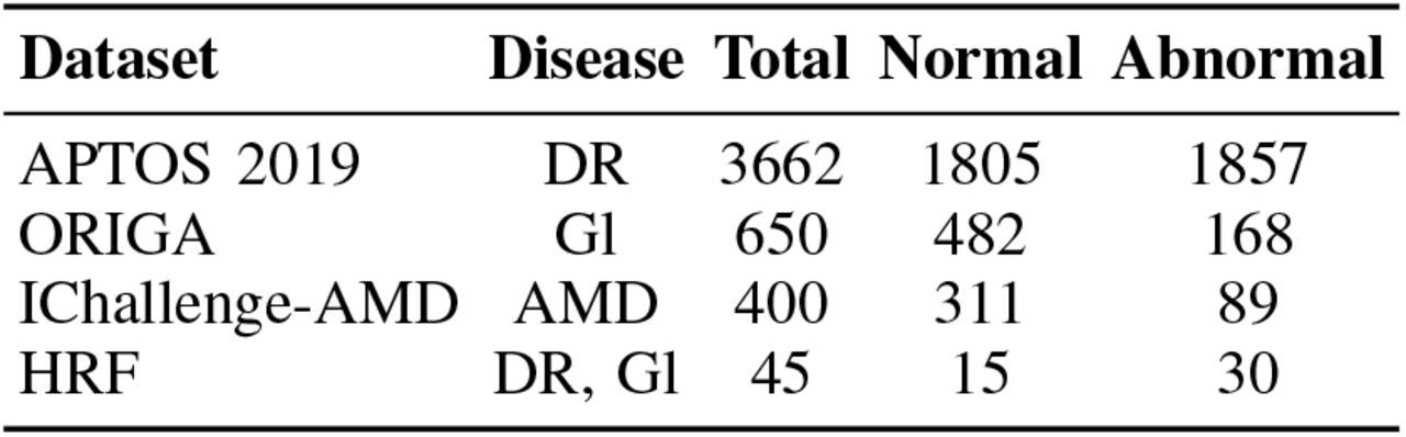 Benchmark datasets for fundus images.