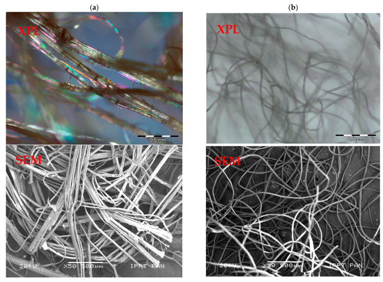 Microphotographs of fibres in transmitted cross polarized light (XPL) and in a scanning electron microscope (SEM): (a) hemp, and (b) sheep wool; scale bar = 500 µm.