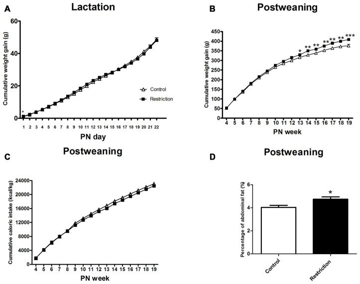 Effect of preconceptional/pregnancy restricted diet on metabolic-related parameters in male rat offspring after birth. Cumulative weight gain (g) of control group offspring (open triangles) and caloric restricted group offspring (solid squares) during lactation (A) and postweaning (B) period. Cumulative caloric intake (Kcal/kg) of control offspring (open triangles) and calorie-restricted offspring (solid squares) during postweaning period (C). Offspring adiposity, calculated as the percentage of the abdominal fat (the sum of perirenal and perigonadal fat) at 5th PN month, is shown in (D): control offspring (open bars) vs. caloric restricted offspring (solid bars). Values are expressed as mean ± SEM. *p < 0.05, **p < 0.01, ***p < 0.001.