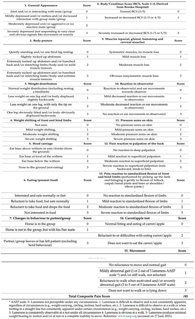 Horse Chronic Pain Scale (HCPS).