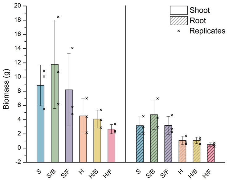 Dry biomass of shoots and roots for sorghum and hemp across all investigated treatments. Bars represent mean values (n = 3) ± SD, with individual replicates shown as cross marks.