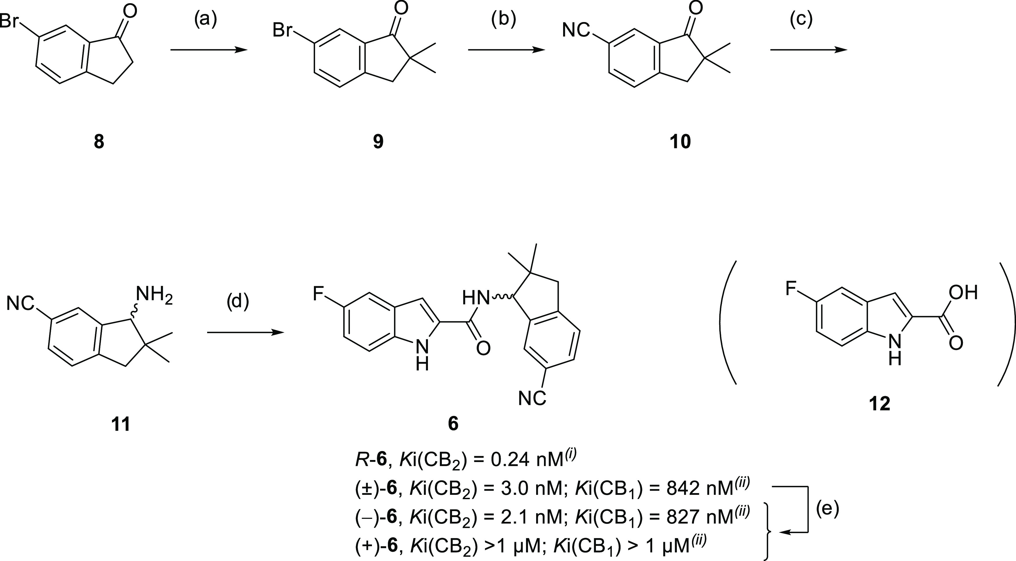 Synthesis of (±)-6 and Chiral HPLC Resolution of (−)-6 and (+)-6Reagents and conditions: (a) MeI, NaH (55% mineral oil suspension), toluene, 90 °C, 16 h, 72%; (b) CuCN, NMP, 175 °C, 4 h, 88%; (c) AA, EtOH, NaCNBH4, 80 °C, 21 h, 55%; (d) 12, BOP, NEt3, CH2Cl2, 16 h, rt, 83%; (e) chiral HPLC separation. (i) Reported in ref (60). (ii) Determined in-house according to protocols previously reported by us.53 Abbreviations: MeI, methyl iodide; NaH, natrium hydride; CuCN, copper cyanide; NMP, N-methyl-2-pyrrolidon; AA, ammonium acetate; NaCNBH4, sodium cyanoborohydride; BOP, [(1H-benzo[d][1–3]triazol-1-yl)oxy]tris(dimethylamino)phosphonium hexafluorophosphate(V).