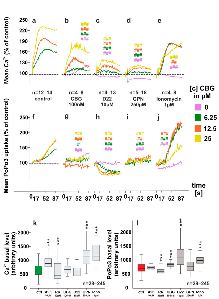 Modulation of CBG-induced calcium and PoPo3 uptake of RASF. (a–j) CBG-induced calcium (a–e) and PoPo3 uptake (f–j) are modulated by 30 min pre-incubation with either CBG (100 nM) (b,g), the organic cation transport inhibitor decynium-22 (D22) (c,h), the endoplasmic calcium releaser glycyl-l-phenylalanine 2-naphthylamide (GPN) (d,i) or the calcium ionophore ionomycin (e,j). (k,l) Absolute calcium (k) and PoPo3 levels (l) after 30 min incubation with the compounds indicated. # p < 0.05, ## p < 0.01, ### p < 0.001 for comparisons of CBG versus CBG/antagonist treatment at each concentration. ANOVA with Bonferroni post hoc test was used for comparisons (a–j). *** p < 0.001, for comparisons between different 30 min pre-incubation conditions before the addition of CBG. Kruskal-Wallis with Bonferroni post hoc test was used for comparisons (k, l). RR = ruthenium red; A96 = A967079. Number of patients included: (a,f) n = 27 and n = 39 (no CBG); (b,g) n = 4 and n = 8 (no CBG); (c,h) n = 4 and n = 13 (no CBG) (d,i) n = 5 and n = 18 (no CBG) (e,j) n = 4 and n = 8 (no CBG). Number of experimental replicates from patient samples (see number of patients in Figure 1d–f and Figure 2a–j): (k,l) n = 245 (ctrl), n = 46 (A96), n = 100 (RR), n = 28 (CBG), n = 33 (D22), n = 43 (GPN), n = 28 (Iono).