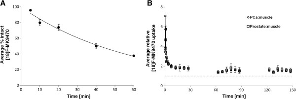 18F-MK-9470 metabolism and relative kinetics in prostate tissue. Average fraction intact 18F-MK-9470 in venous samples of five patients (A). Relative 18F-MK-9470 kinetics in tumour and benign prostatic tissue compared to muscle at three acquisition intervals (0 to 30, 60 to 90 and 120 to 150 min p.i.) (B).